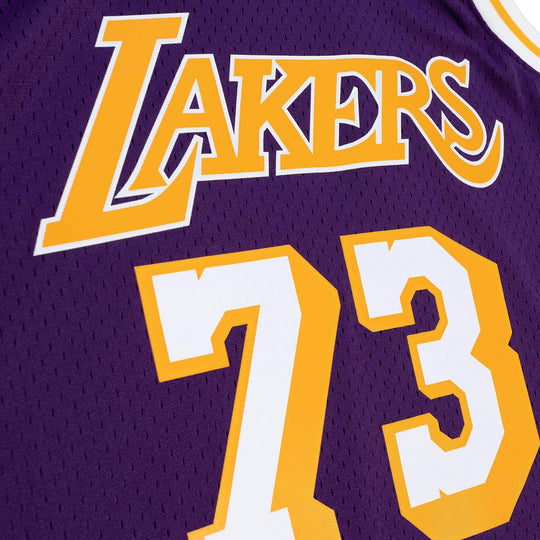 Lakers 98 Rodman Road Jersey Purple – Lakers Store